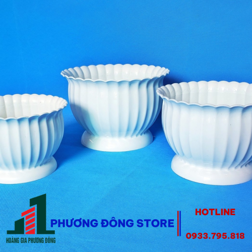 Chậu Khía bầu 